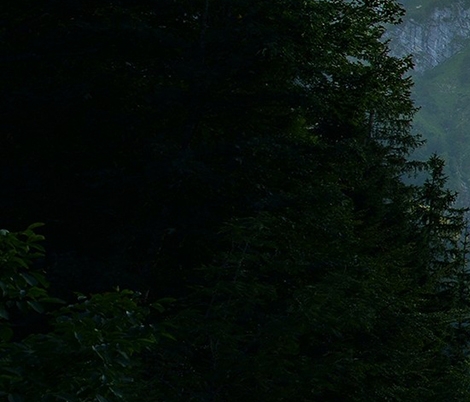 粉象生活真实收入