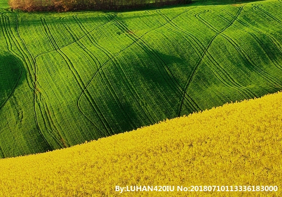 粉象啤酒怎么样