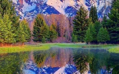 粉象生活推广一个多少钱