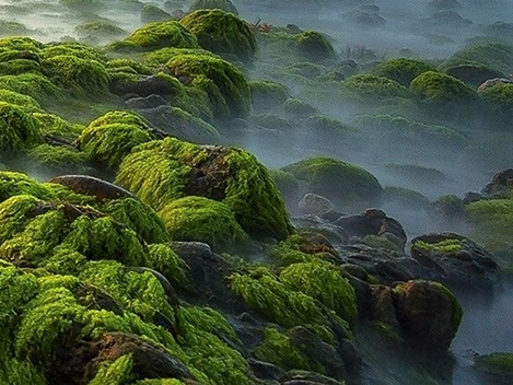 粉象生活邀请码