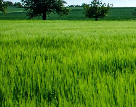 杭州无线生活公司怎么样