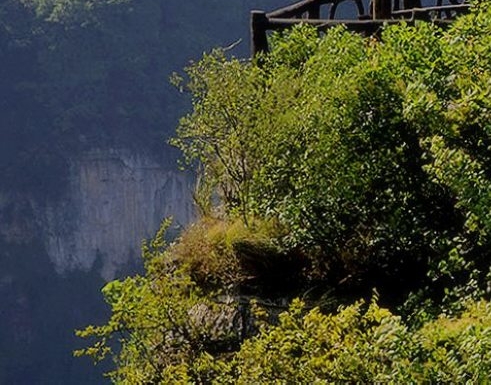 粉象生活用户名能改吗