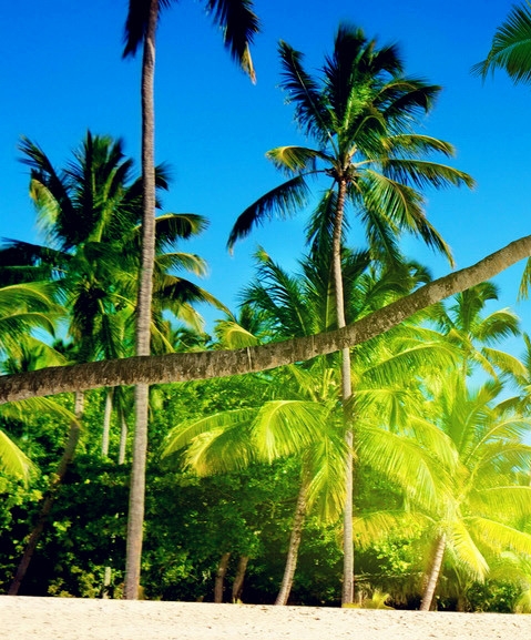 粉象生活返利条件