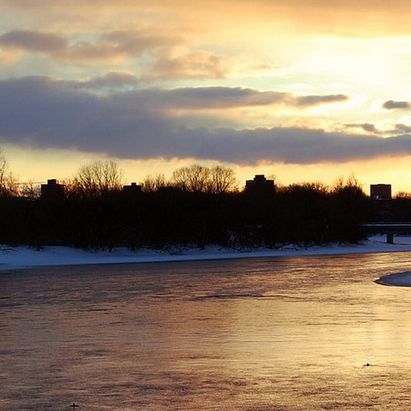 粉象生活哪个平台是真的