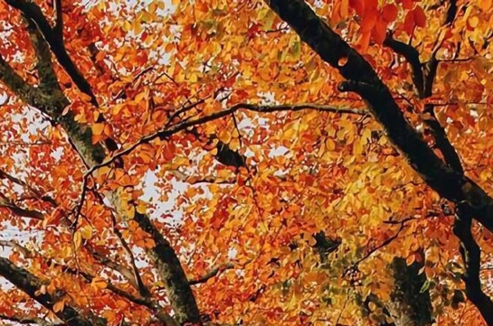 东莞夜光粉方法