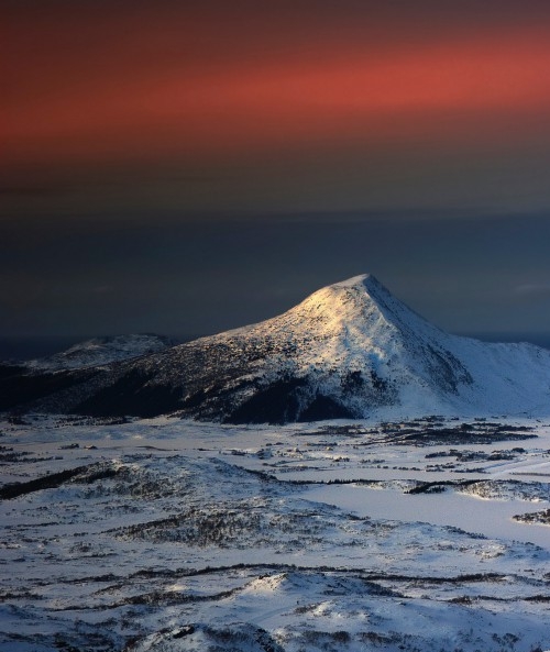 小仓生活超市加盟官网