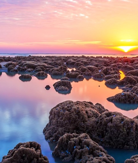 粉象生活怎么赚钱