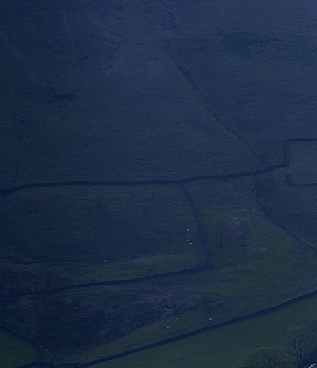 粉象生活用什么方式推广