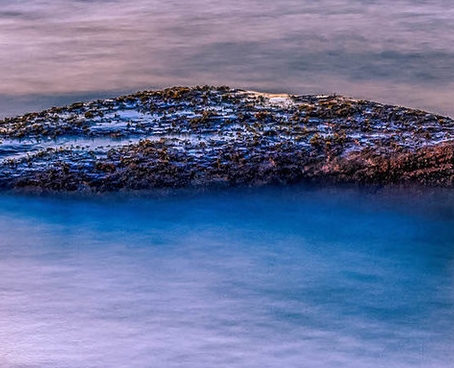 绍兴粉象生活市场前景