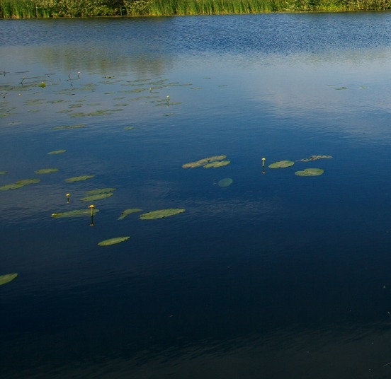 品质生活会员是什么