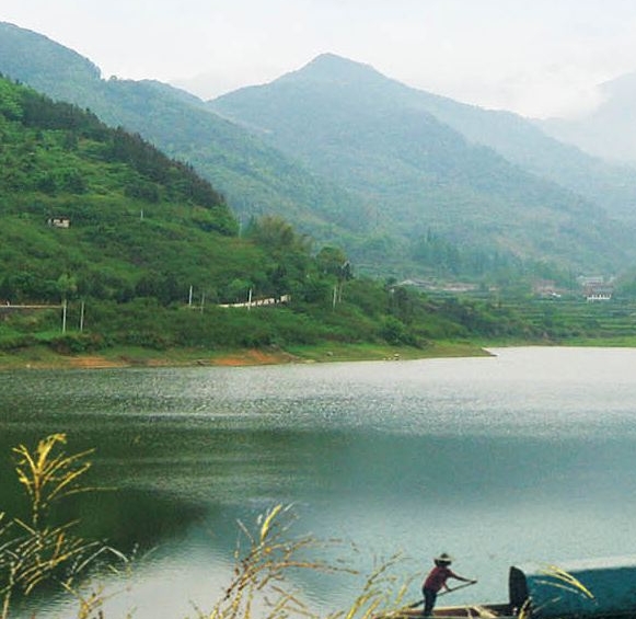 粉象生活买商品