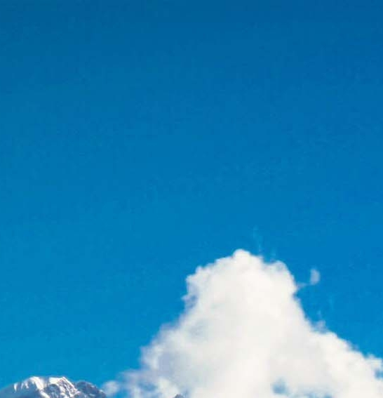 粉象生活粉丝怎么增加