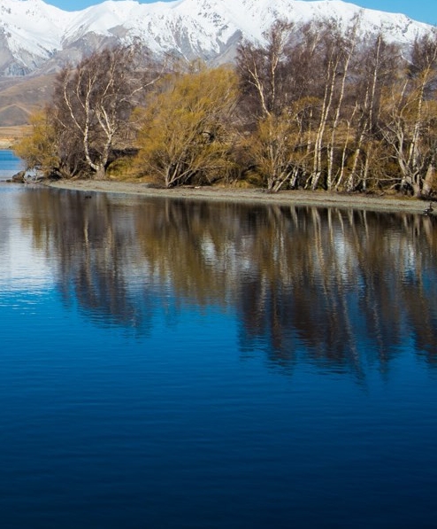 粉象生活怎么赚钱的