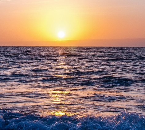 粉象生活能赚钱吗