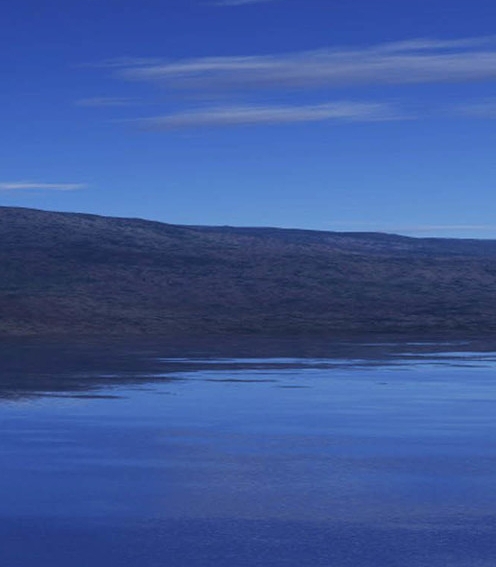 粉象生活一天几百是真是假