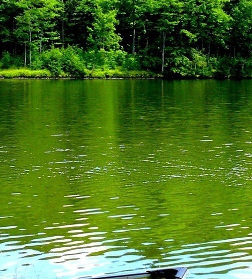 粉象生活羊毛好吗