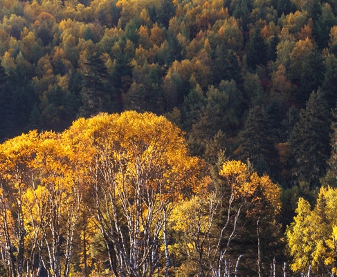 粉象生活邀请码