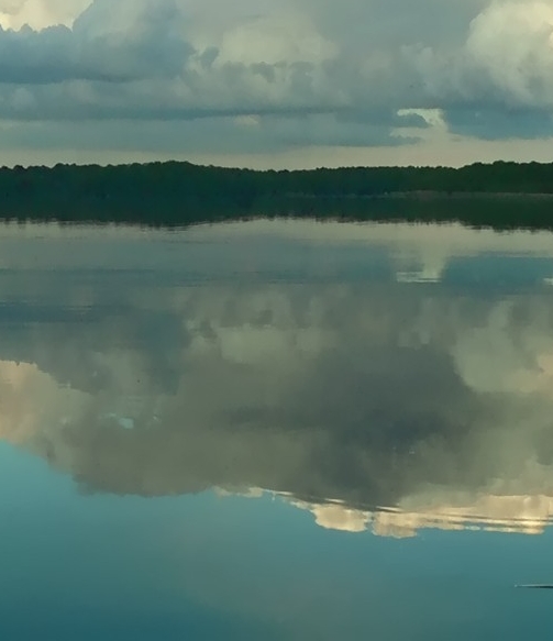 粉象生活模式合法吗