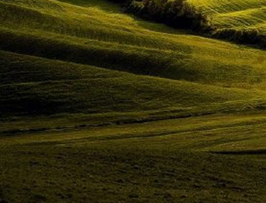 粉象生活分现金图片