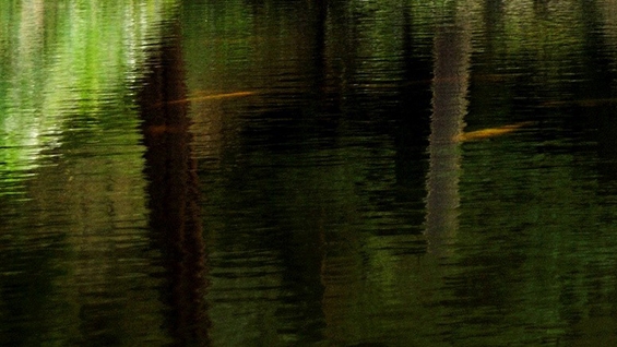 杭州三喜生活公司