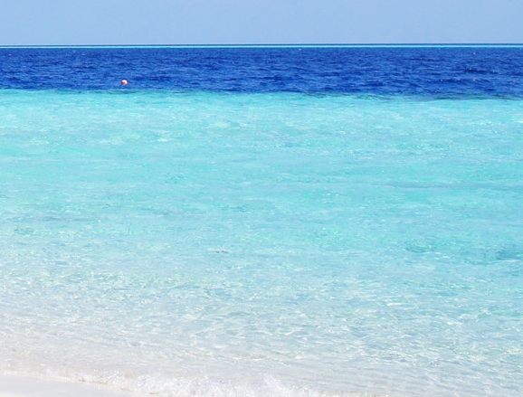 粉象生活真能省钱吗