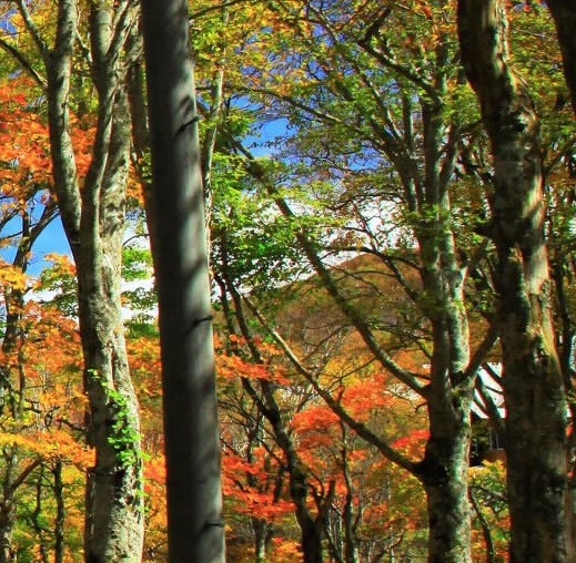 粉象生活可以送货到哪里