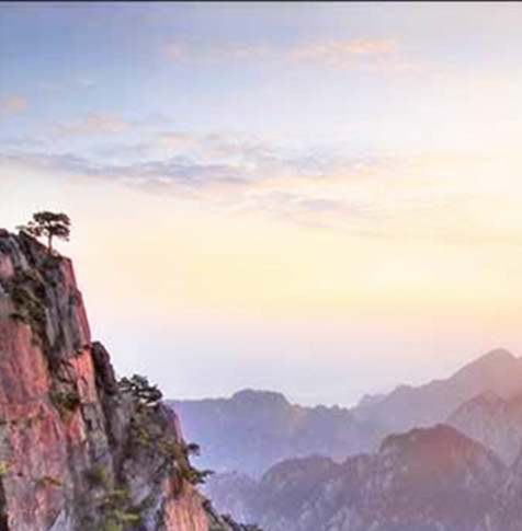 粉象生活怎么赚钱的