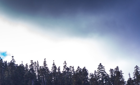 在粉象生活买的东西怎么退款