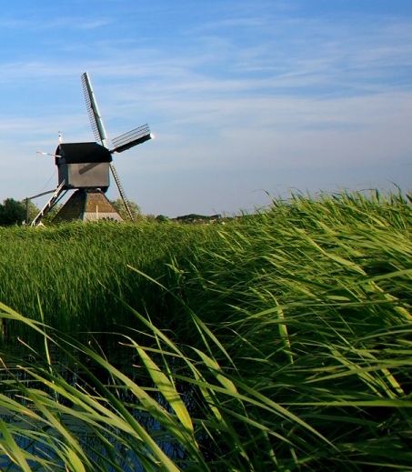 怎么平衡加班与生活