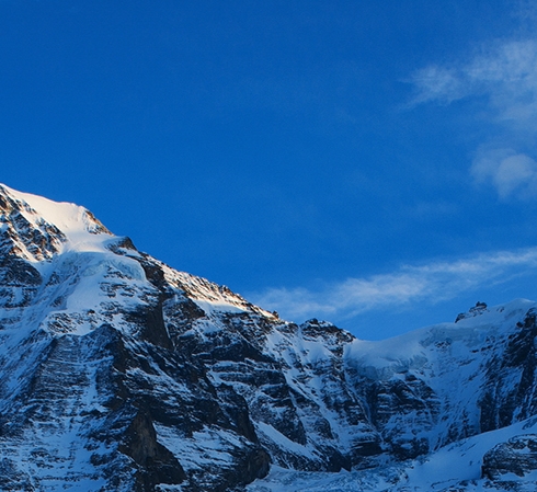 粉象生活粉丝怎么增加