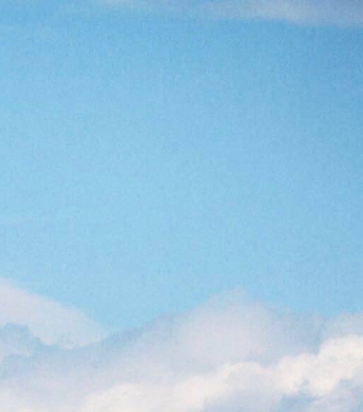 粉象生活真垃圾