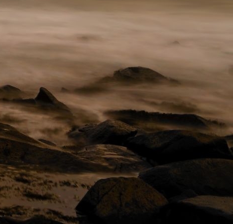 粉象生活下载app