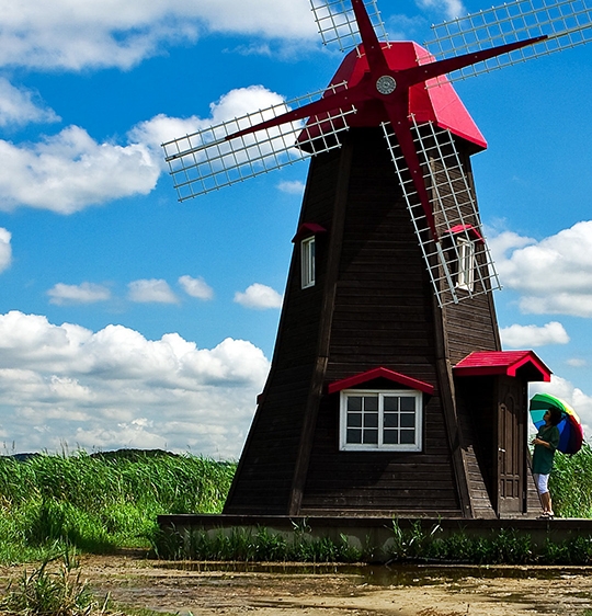 粉象生活粉丝怎么增加