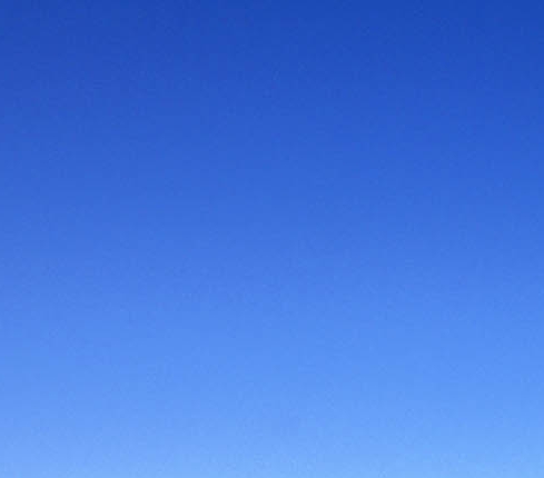 淘宝领粉象生活券多少钱