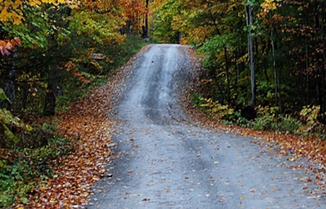 粉象生活的推广人