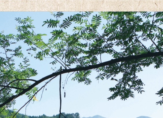 粉象生活分享赚是怎么赚钱的