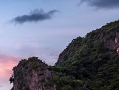 粉象生活羊毛