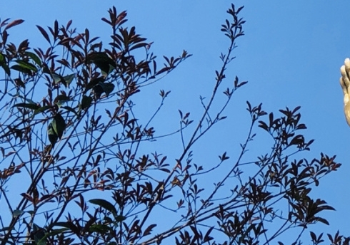 宁波选择粉象生活推广