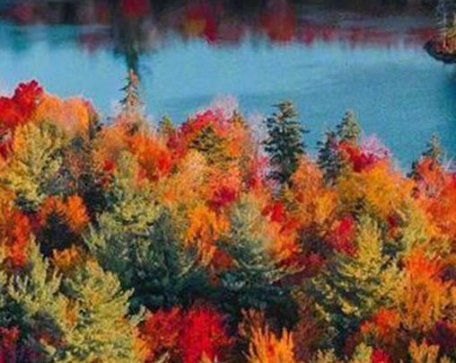 中山粉象生活收费