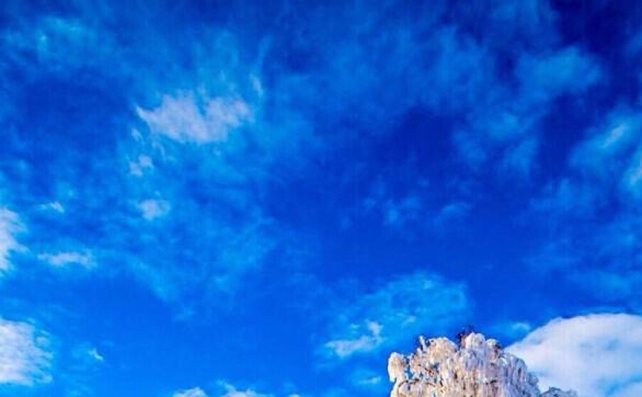 淄博粉象生活收入