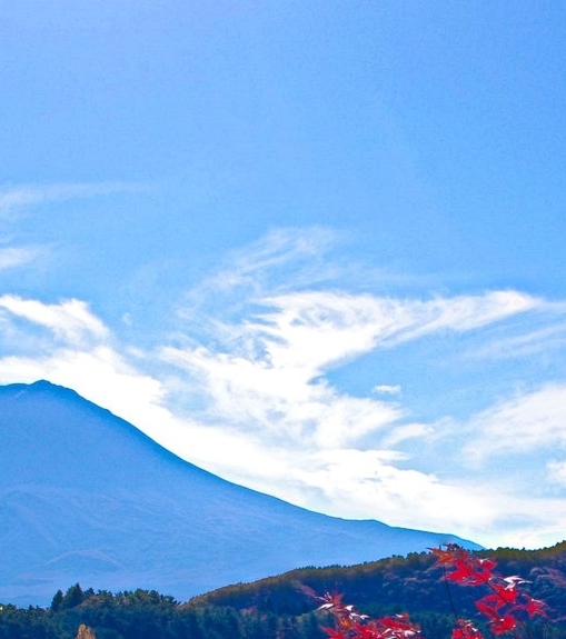 粉象生活推荐一个人多少钱
