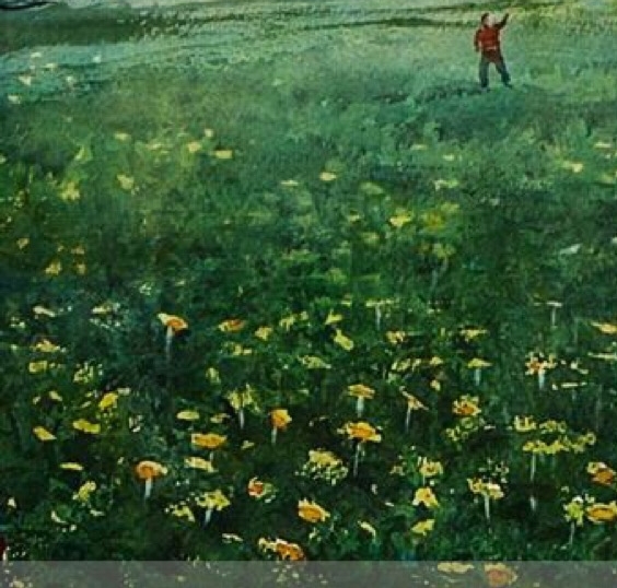 如何走进低碳生活