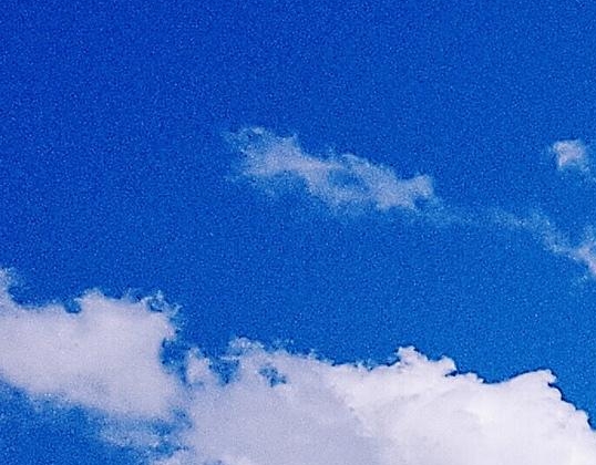 粉象生活粉丝怎么增加