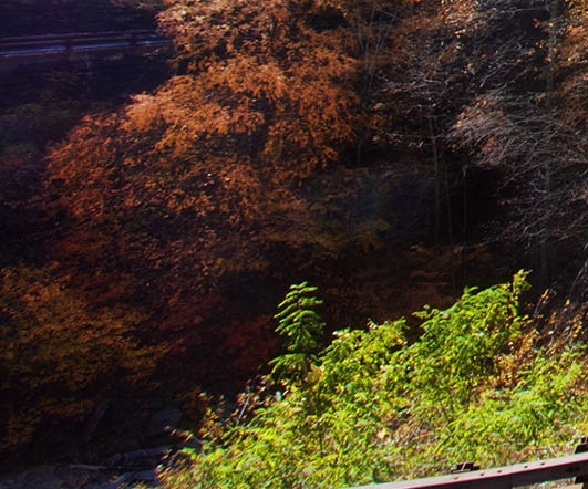 掌上生活需要实名认证吗