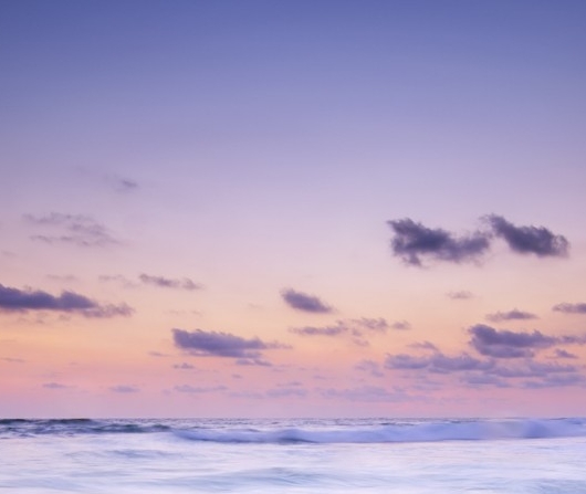 粉象生活怎么赚钱