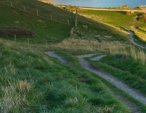 粉象生活和淘宝什么关系
