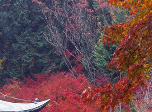 粉象生活怎么用金币购物