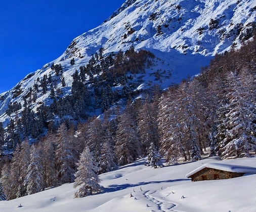 厦门粉象生活拼多多
