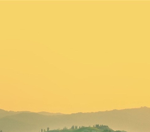 粉象生活下载app