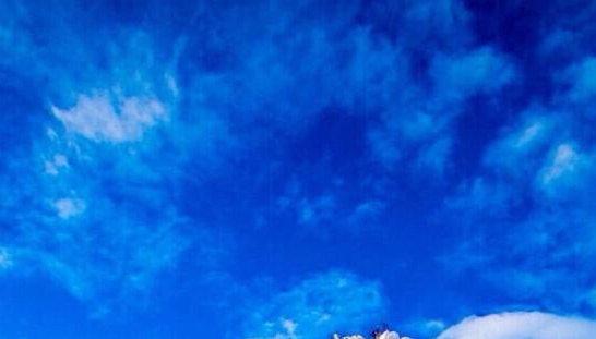 粉象生活能赚到钱吗